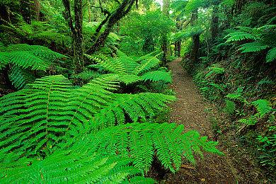 暴雪游戏国服关服 网易公布退款说明：2月1日开放